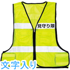 ȿ�����ʸ�������