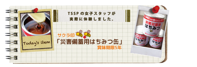 �T�N����@�ЊQ���~�p�͂��݂ʁ@�ܖ�����5�N