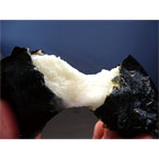 ʢ�������ɤ����������۸����ۤΡ��ڤ��ߡ�