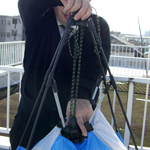 ?�Ǹ�ޤ�ɳ��������鴰��